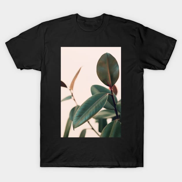 Ficus Elastica #5 T-Shirt by ALICIABOCK